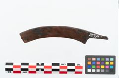 Foto von Eisengriffdornmesser (NHMW-PRAE-025794)